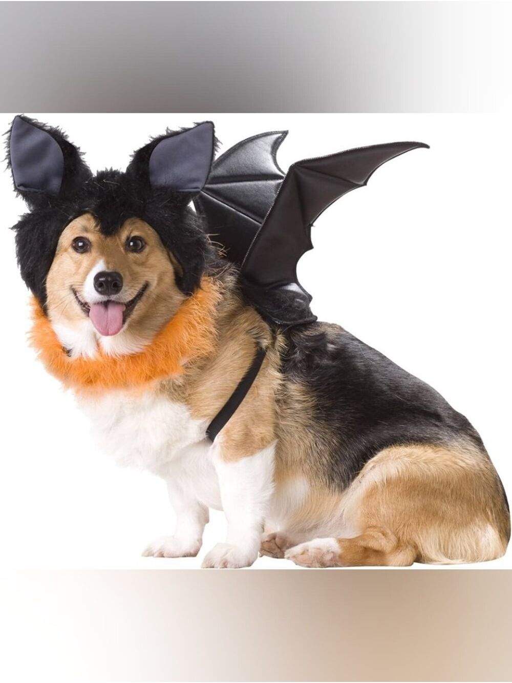 🎃 Small • Animal Planet • Vampire Dracula Bat Pet Costume